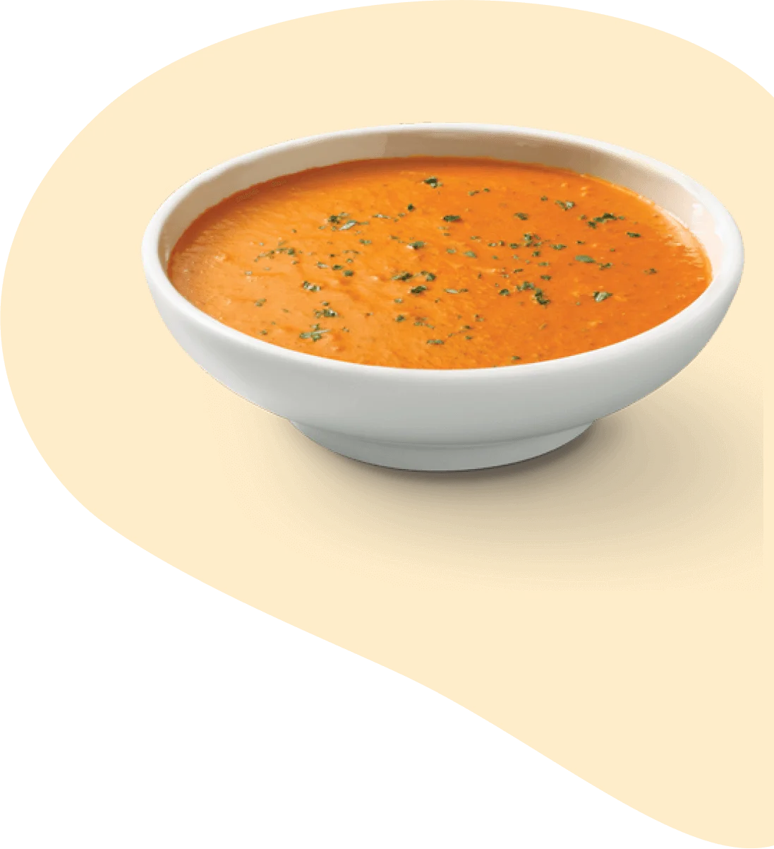 Spice Junction Special